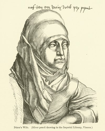 Alman ressam ve grafiker Albrecht Durer